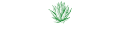 Mr. José Mexican Cousine